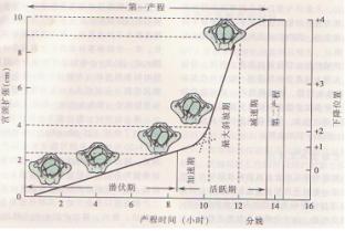 2010年醫療器械行業即將進入高標準時代